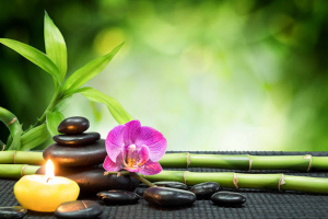 Kệ truyền pháp của Thiền phái Trúc Lâm - Lâm Tế thời Lê Trung Hưng (P.3)