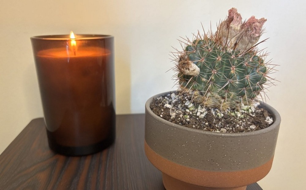 Tự do trong những điều "thiếu khuyết" và không hoàn hảo