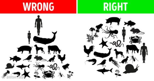Sự tiến hóa của AI đòi hỏi sự suy ngẫm sâu sắc về tâm trí con người