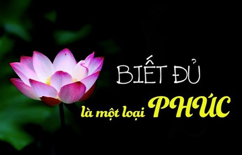 Ảnh sưu tầm.