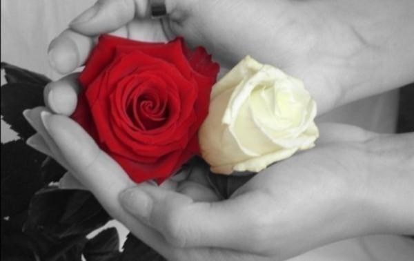 Người có Hiếu là người có Đạo