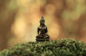 Ứng dụng Kinh Indriya Bhavana: Nuôi dưỡng Tâm Xả