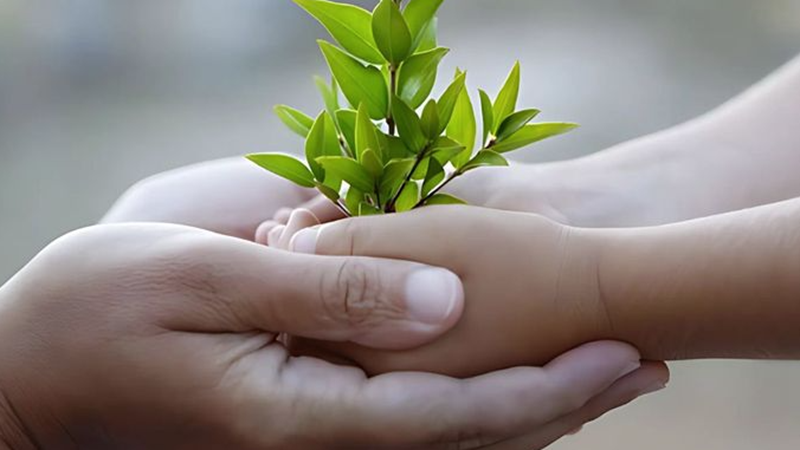 Hình ảnh chỉ mang tính chất minh hoạ (sưu tầm). Hình ảnh chỉ mang tính chất minh hoạ (sưu tầm).