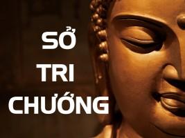 Sở tri chướng – chướng ngại trên con đường giác ngộ