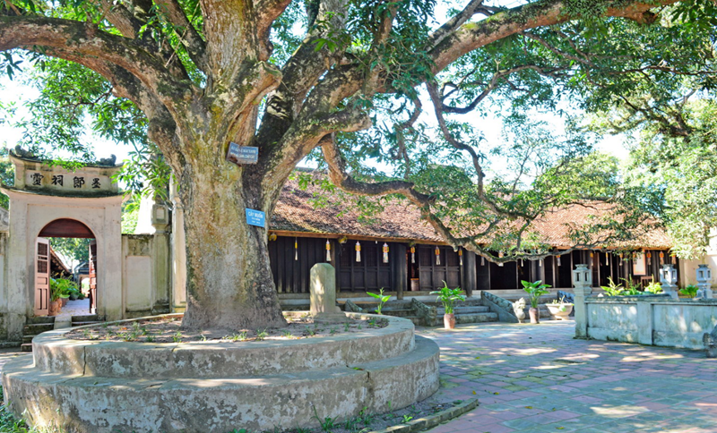 Quang cảnh chùa Phổ Minh (Ninh Bình). Ảnh sưu tầm.