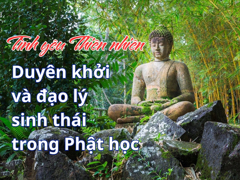 Tình yêu Thiên nhiên – duyên khởi và đạo lý sinh thái trong Phật học
