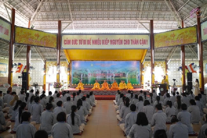 Hình minh họa (tác giả cung cấp) Hình minh họa (tác giả cung cấp)