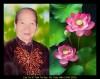 Thư Phân ưu mẫu thân Thượng tọa Thích Vân Phong