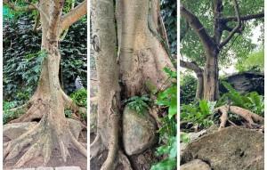 Sức mạnh nội lực