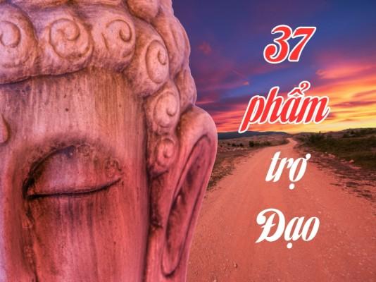 37 Phẩm Trợ Đạo lộ trình hướng đến giác ngộ