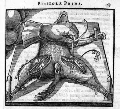 Quan điểm của Triết gia Descartes coi thiên nhiên như một cỗ máy đã biện minh cho hành động mổ xẻ tàn bạo đối với động vật sống Quan điểm của Triết gia Descartes coi thiên nhiên như một cỗ máy đã biện minh cho hành động mổ xẻ tàn bạo đối với động vật sống