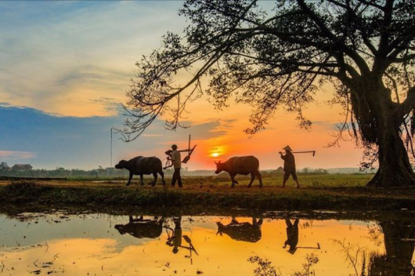 Ngày xửa ngày xưa