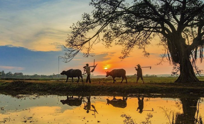 Hình ảnh chỉ mang tính chất minh hoạ (sưu tầm).