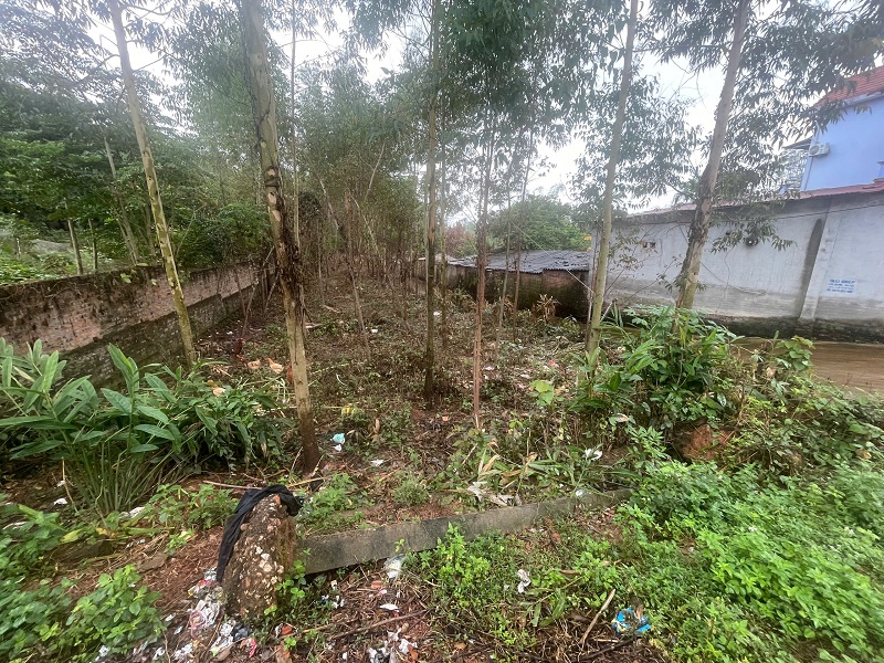 Cột điện bật gốc trước sức tàn phá của mưa lũ