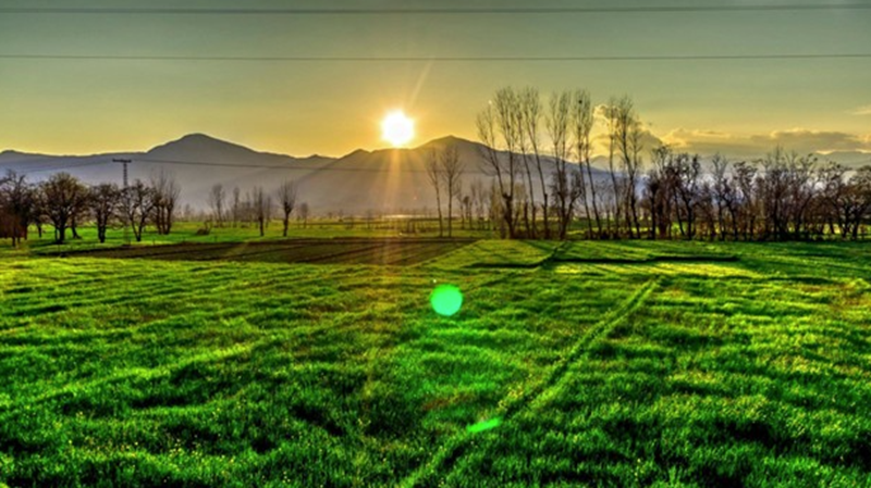 Ảnh: buddhistdoor.net