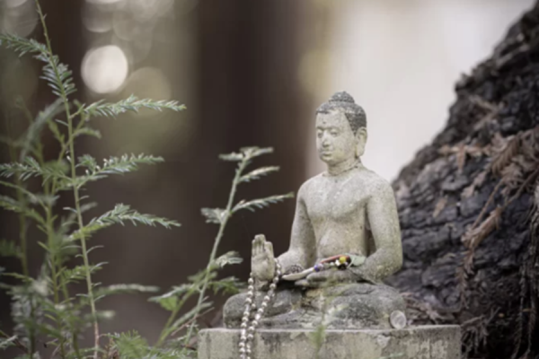 Biết ơn vì được gặp gỡ đạo Phật