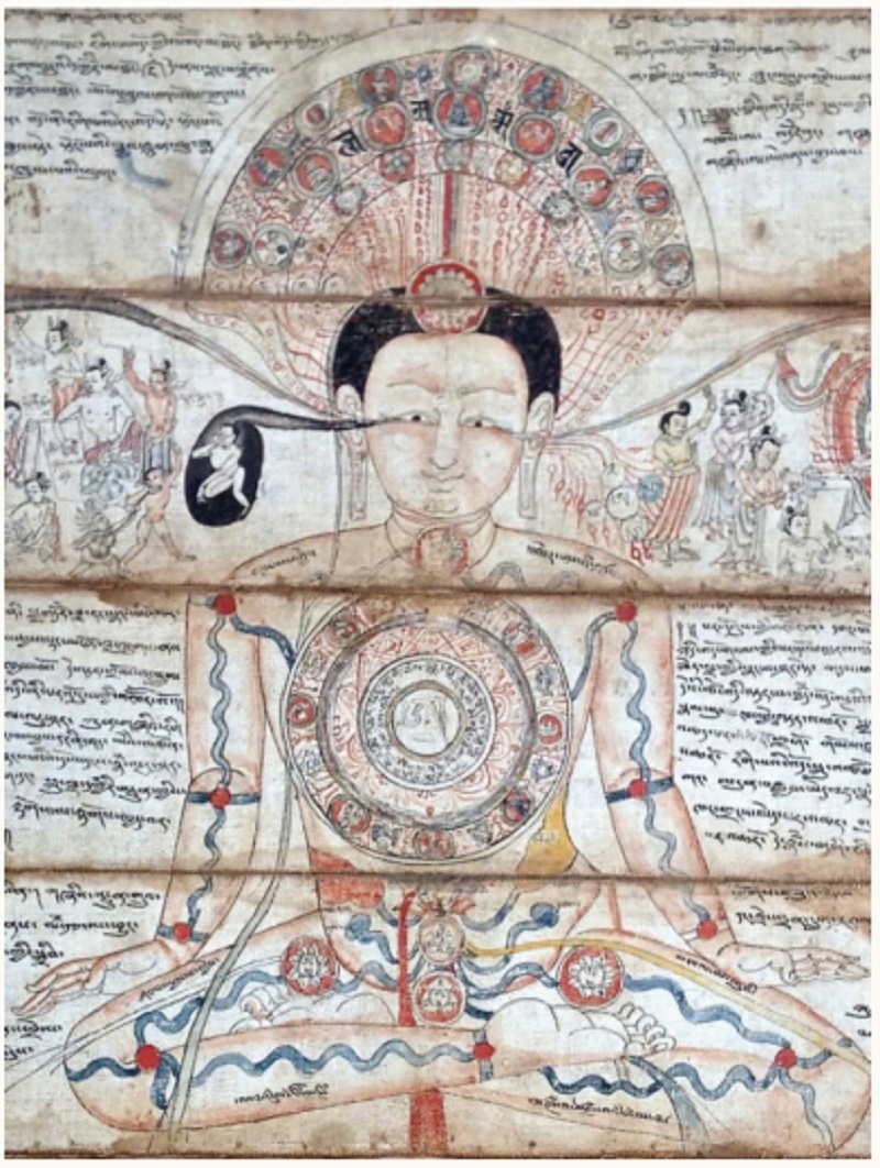 Cẩm nang hướng dẫn hành thiền thế kỷ XIII tiết lộ cấu trúc của 
Thân Kim cương và mạng lưới các kinh mạch, khí và tinh chất 
vi tế.