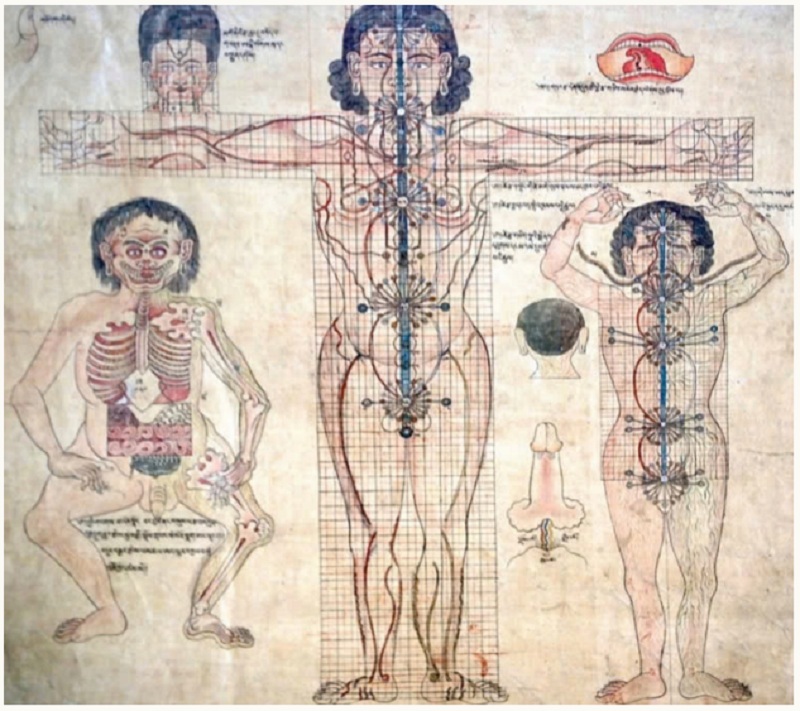 Biểu đồ y học Tây Tạng mô tả năm trung tâm năng lượng 
(luân xa) được kết nối với nhau dọc theo trục trung tâm 
của cơ thể, tương quan về mặt giải phẫu trên thân con 
người. Bộ sưu tập Wellcome.