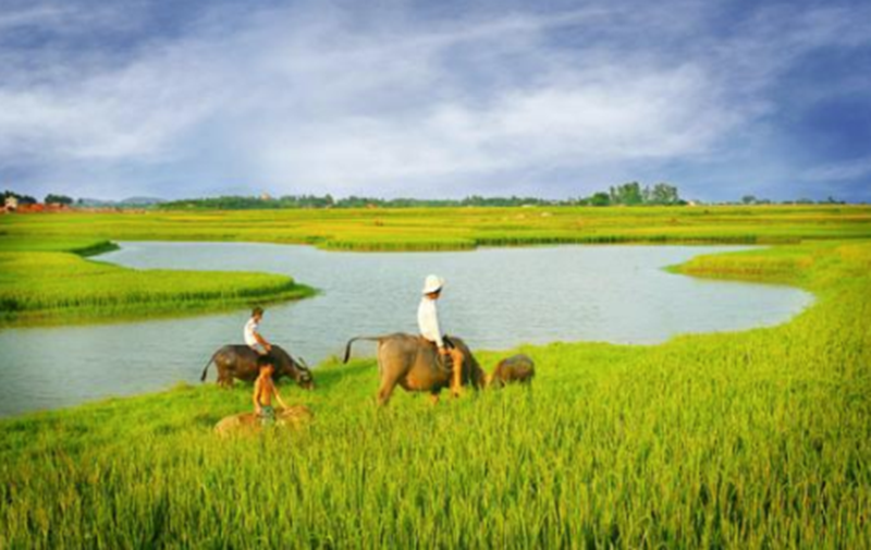 Hình ảnh chỉ mang tính chất minh hoạ (sưu tầm).