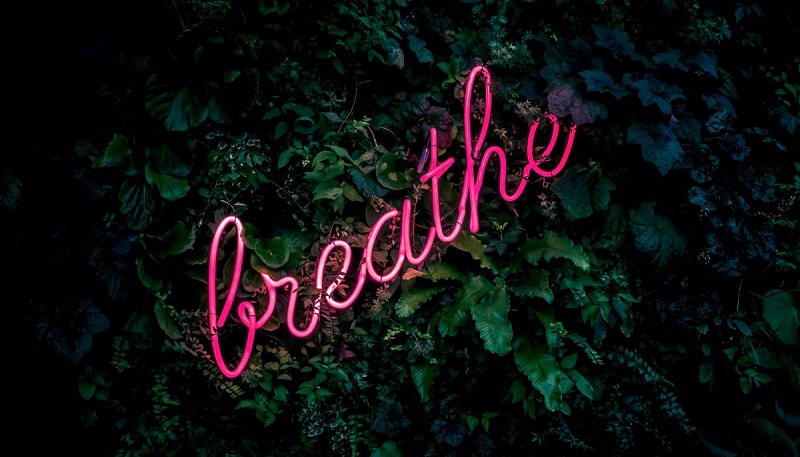 Ảnh minh họa: Fabian Moler