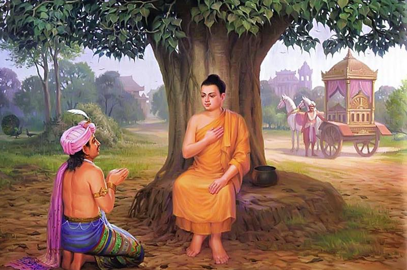 Hình ảnh minh hoạ (sưu tầm).