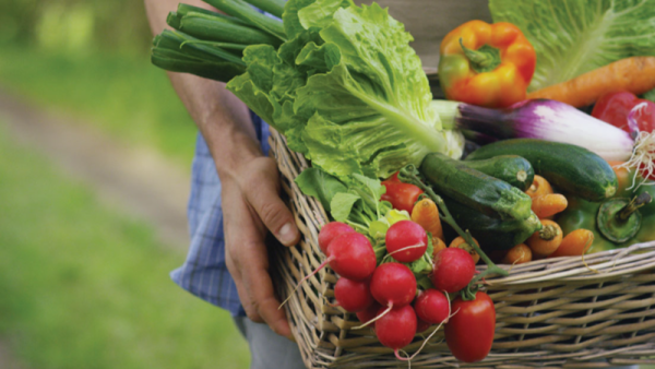 “Giá rau đắt như thịt”: Đủ để sống – không cần hơn