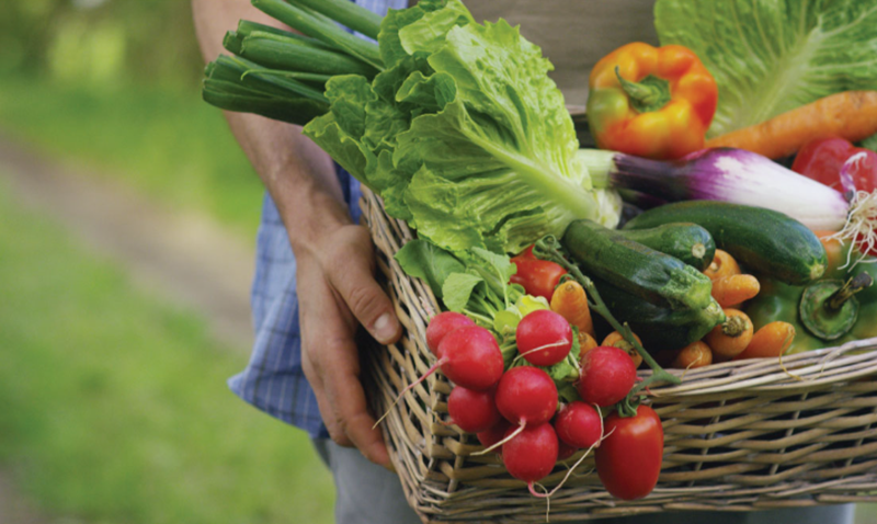 Hình ảnh minh hoạ (sưu tầm).