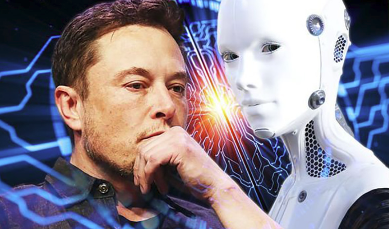 Hình ảnh minh hoạ (sưu tầm).