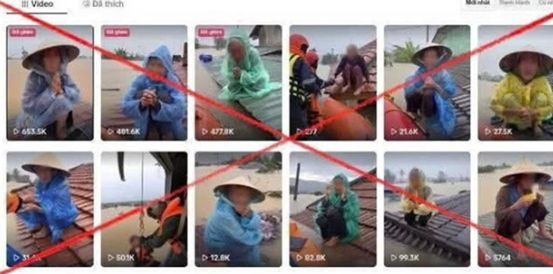 Ảnh tác giả cung cấp.