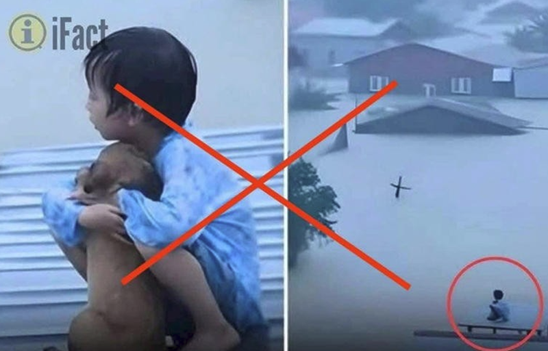 Ảnh tác giả cung cấp