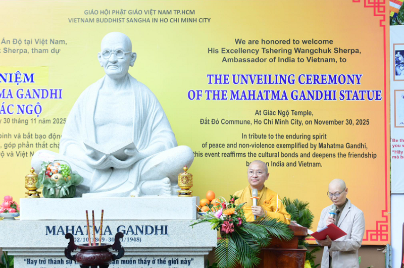 Ảnh tác giả cung cấp.