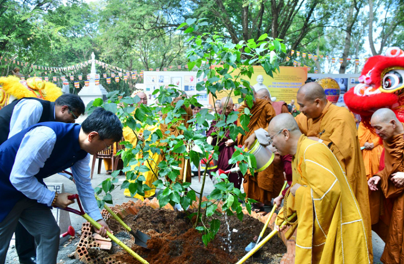 Ảnh tác giả cung cấp.