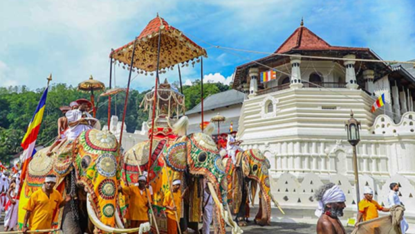 Nếu chưa thấy Perahera - chưa thực sự đến Sri Lanka