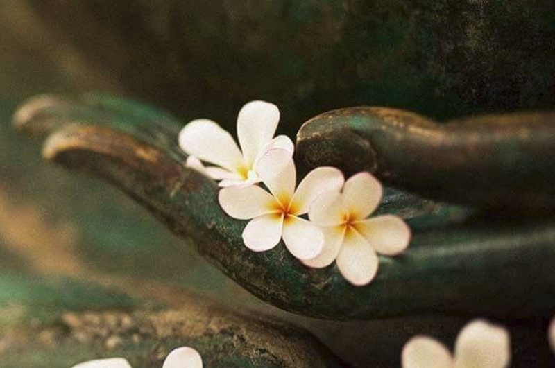 H&igrave;nh ảnh chỉ mang t&iacute;nh chất minh hoạ (sưu tầm).