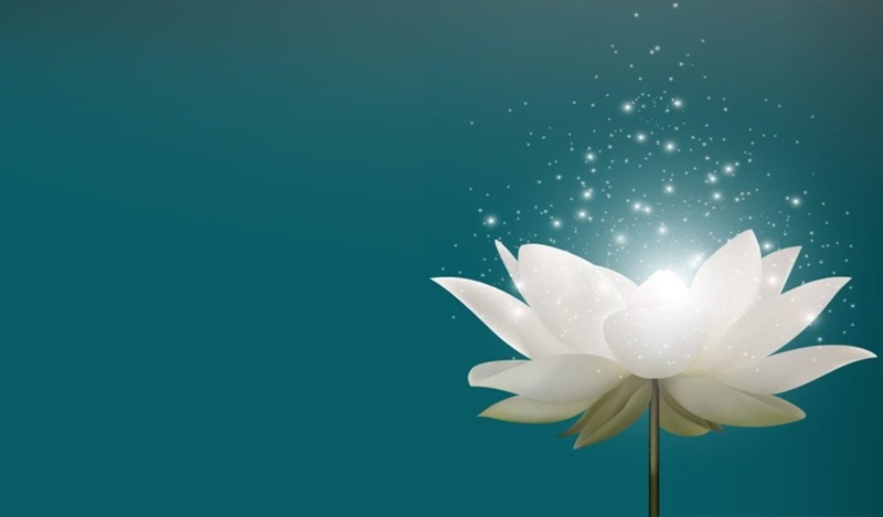 H&igrave;nh mang t&iacute;nh minh họa (nguồn: Internet)