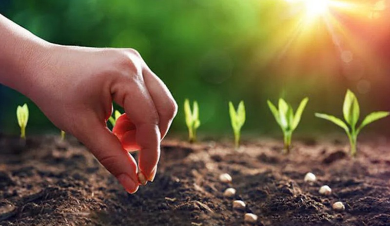 H&igrave;nh mang t&iacute;nh minh họa (nguồn: Internet)