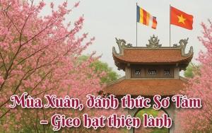 Mùa Xuân, đánh thức Sơ Tâm - Gieo hạt thiện lành