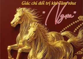 Giác chi đối trị khi Tâm như "Ngựa"