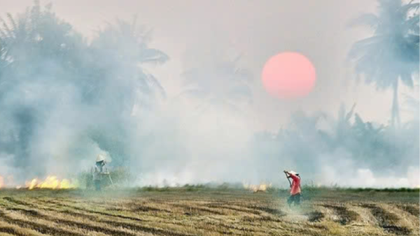 Nhớ sao mùi khói đốt đồng