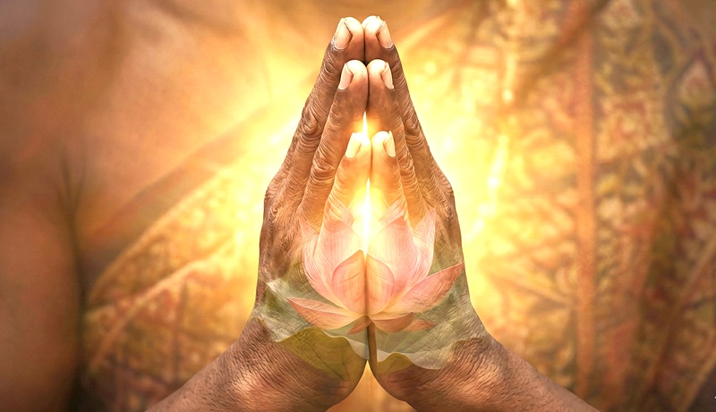 Búp sen của lòng khi&ecirc;m cung