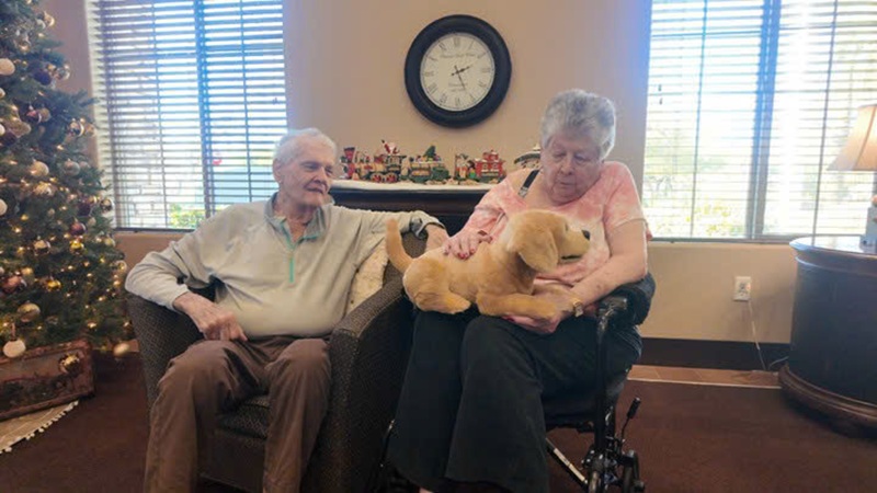 Một ch&uacute; ch&oacute; Labrador Retriever robot do Tombot chế tạo. (Nguồn: Kenny Fried)