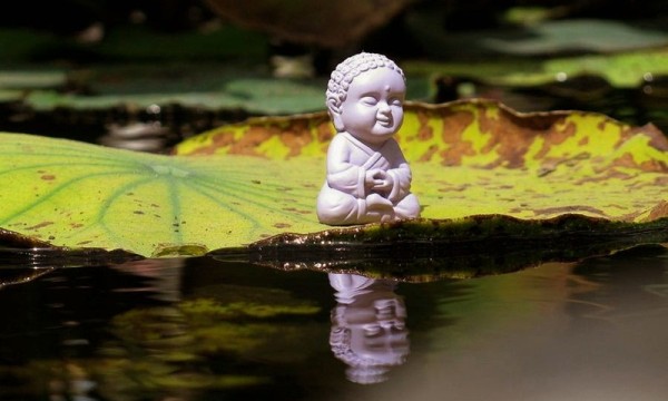 Kết hợp tâm lý học Carl Rogers và triết học Phật giáo trong công tác giáo dục thanh thiếu niên