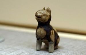 Đài SBS tìm hiểu về nguồn gốc Việt của Ngọ - Ngũ - Ngựa