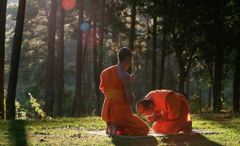 H&igrave;nh minh họa. Nguồn: Internet