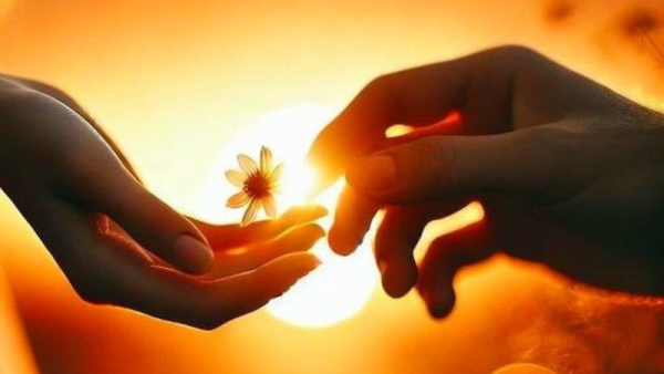 Đi qua bóng tối mà không đánh mất mình