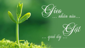 Khi nhân quả bị biến dạng và trở thành công cụ "dọa"