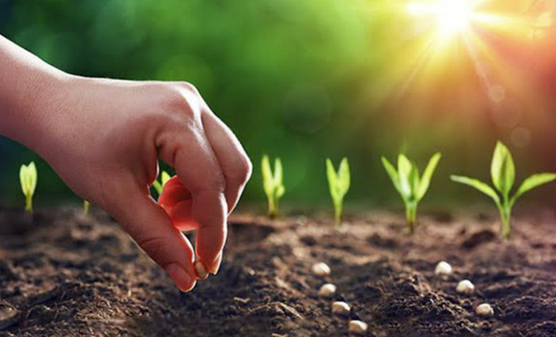 H&igrave;nh ảnh chỉ mang t&iacute;nh chất minh hoạ (sưu tầm)