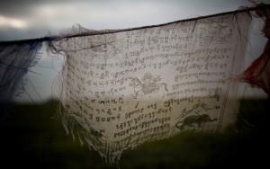 Vô thường và nghịch cảnh "phủ nhận cái chết"