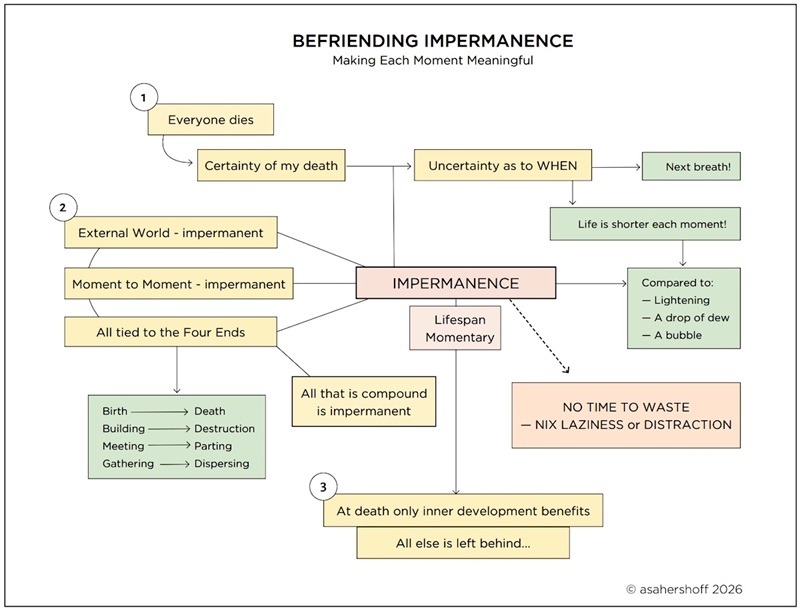 Ảnh do t&aacute;c giả cung cấp.