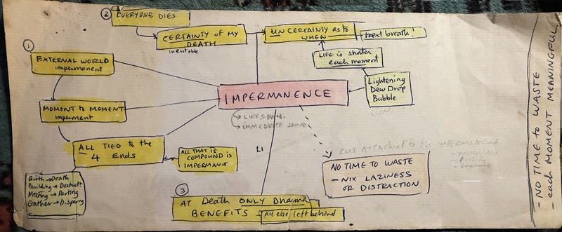 Ảnh do t&aacute;c giả cung cấp.